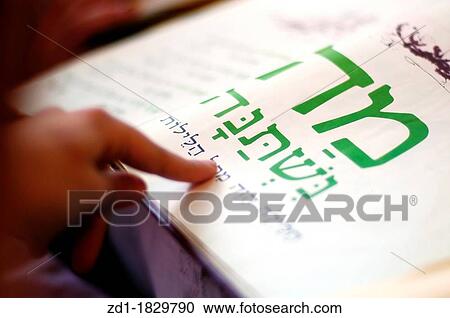 A woman reads the Haggadah traditional text during blessings for the Jewish holiday of Passover Dinner View Large Photo Image Stock Image - A woman reads the Haggadah traditional text during blessings for the Jewish holiday of Passover Dinner. Fotosearch