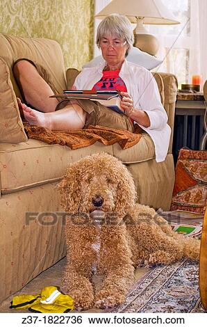 Stock Photograph - A woman relaxes in her well appointed living room with an Ipad while the dog sits on a Persian rug. Fotosearch