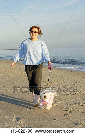a woman running on the beach with a dog View Large Photo Image Stock Photograph - a woman running on the beach with a dog. Fotosearch