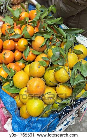 A woman selling fruits from a cart in a back alley of Vietnam View Large Photo Image Stock Image - A woman selling fruits from a cart in a back alley of Vietnam. Fotosearch