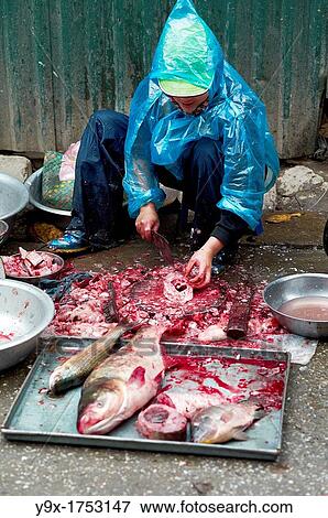A woman selling raw pieces of meat and fish on a sidewalk in Vietnam View Large Photo Image Stock Photo - A woman selling raw pieces of meat and fish on a sidewalk in Vietnam. Fotosearch