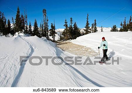 A woman snowshoeing on wind drifted snow near the continental divide Colorado, United States View Large Photo Image Stock Photo - A woman snowshoeing on wind drifted snow near the continental divide Colorado, United States. Fotosearch