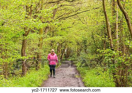 A woman walking in English woodland in Spring View Large Photo Image Stock Photo - A woman walking in English woodland in Spring. Fotosearch