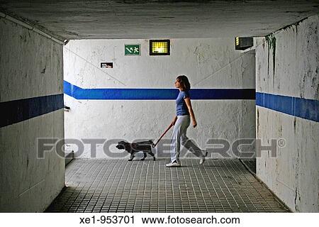 Stock Image - A woman walking the dog through the underpass, El Masnou, Barcelona province, Catalonia, Spain. Fotosearch