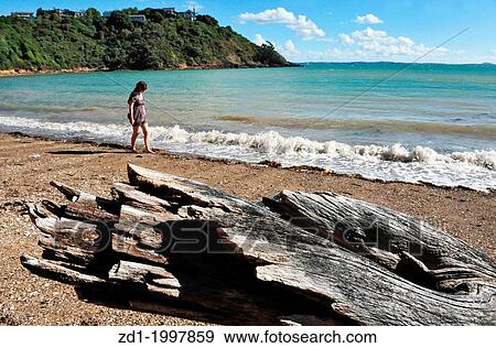 A woman walks on a beach in Waiheke Island, New Zealand. View Large Photo Image Stock Photo - A woman walks on a beach in Waiheke Island, New Zealand.. Fotosearch