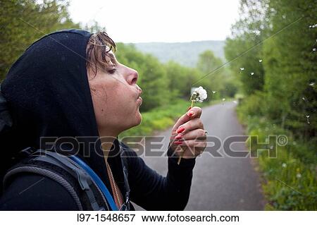 A women blows spores off a flower along the Camino de Santiago View Large Photo Image Stock Photo - A women blows spores off a flower along the Camino de Santiago. Fotosearch