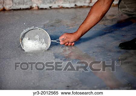 A worker collects flower of salt using a strainer at the Salinas de Hortales salt mine in Prado del Rey, Cadiz, Andalusia, Spain View Large Photo Image Stock Photography - A worker collects flower of salt using a strainer at the Salinas de Hortales salt mine in Prado del Rey, Cadiz, Andalusia, Spain. Fotosearch