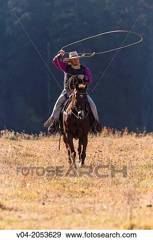 A wrangler cowboy roping on horse, Montana, USA View Large Photo Image Stock Photo - A wrangler cowboy roping on horse, Montana, USA. Fotosearch