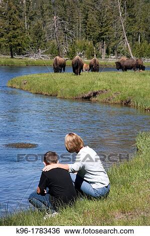 Stock Photograph - a young boy and a woman watching a buffalo heard. Fotosearch