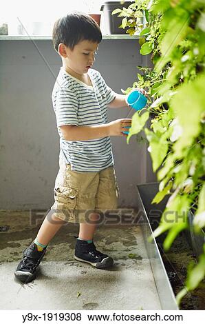 A young boy playing with a cup of water and plants on the wall View Large Photo Image Stock Photo - A young boy playing with a cup of water and plants on the wall. Fotosearch