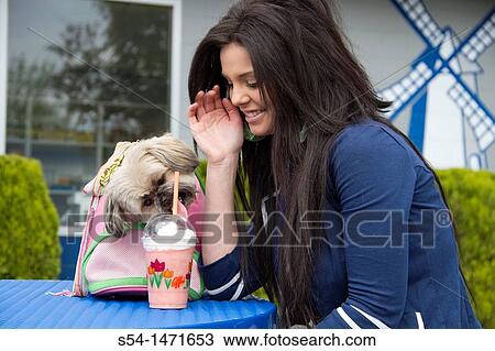 A young caucasian woman with her small dog, a Shih-tzu terrier, in Spokane, Washington, USA. View Large Photo Image Stock Image - A young caucasian woman with her small dog, a Shih-tzu terrier, in Spokane, Washington, USA.. Fotosearch