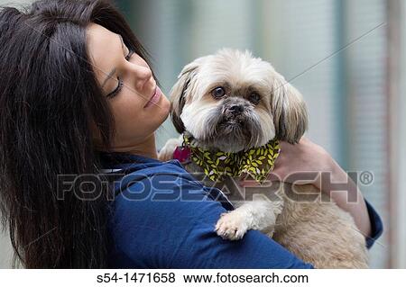 A young caucasian woman with her small dog, a Shih-tzu terrier, in Spokane, Washington, USA. View Large Photo Image Stock Photo - A young caucasian woman with her small dog, a Shih-tzu terrier, in Spokane, Washington, USA.. Fotosearch