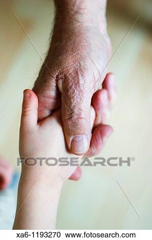 A young child shakes his grandfather's hand View Large Photo Image Stock Image - A young child shakes his grandfather's hand. Fotosearch