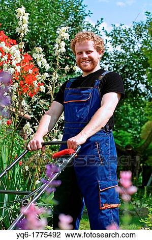 A young, happy gardener cutting the grass among beautiful flowers in the garden View Large Photo Image Stock Image - A young, happy gardener cutting the grass among beautiful flowers in the garden. Fotosearch