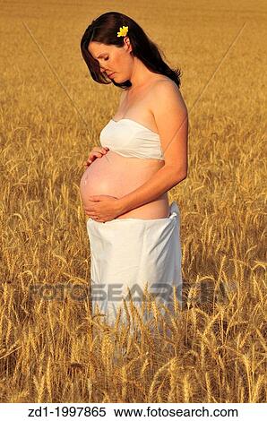 A young pregnant woman in a wheat field. View Large Photo Image Stock Photography - A young pregnant woman in a wheat field.. Fotosearch