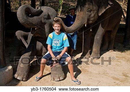 Picture - A Young Tourist with Elephant, Maesa Elephant Camp, Chiang Mai, Thailand. Fotosearch