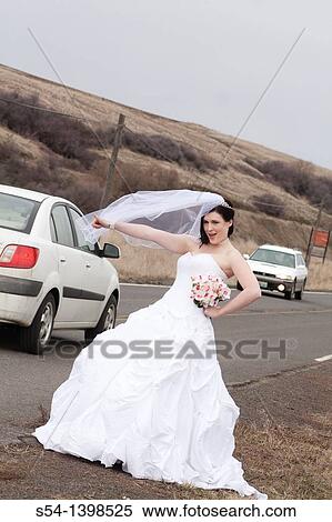 A young woman in a bridal gown, hitchhiking on a country road in Rosalia, Washington, USA. View Large Photo Image Stock Photography - A young woman in a bridal gown, hitchhiking on a country road in Rosalia, Washington, USA.. Fotosearch