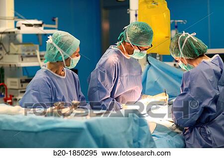 Abdominal Hernia Surgery, Surgeon, General Emergency Surgery, Operating Theatre, Donostia Hospital, San Sebastian, Donostia, Gipuzkoa, Basque Country, Spain View Large Photo Image Stock Photography - Abdominal Hernia Surgery, Surgeon, General Emergency Surgery, Operating Theatre, Donostia Hospital, San Sebastian, Donostia, Gipuzkoa, Basque Country, Spain. Fotosearch