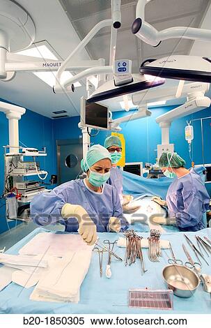 Abdominal Hernia Surgery, Surgeon, General Emergency Surgery, Operating Theatre, Donostia Hospital, San Sebastian, Donostia, Gipuzkoa, Basque Country, Spain View Large Photo Image Stock Photography - Abdominal Hernia Surgery, Surgeon, General Emergency Surgery, Operating Theatre, Donostia Hospital, San Sebastian, Donostia, Gipuzkoa, Basque Country, Spain. Fotosearch