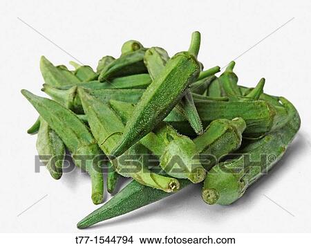Abelmoschus esculentus, Lady Finger at marketplace on a plant, India View Large Photo Image Picture - Abelmoschus esculentus, Lady Finger at marketplace on a plant, India. Fotosearch