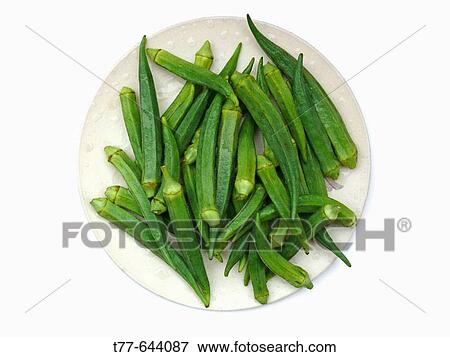 Abelmoschus esculentus. Lady Finger - vegetable. Pune, Maharashtra, India. View Large Photo Image Stock Photo - Abelmoschus esculentus. Lady Finger - vegetable. Pune, Maharashtra, India.. Fotosearch