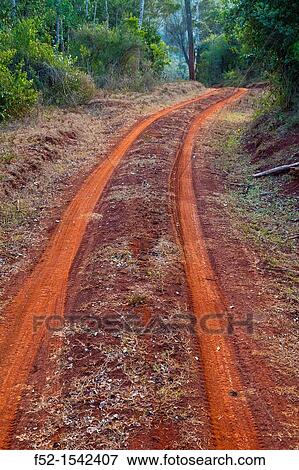 Aberdare National Park, Kenya, Africa. View Large Photo Image Stock Photo - Aberdare National Park, Kenya, Africa.. Fotosearch