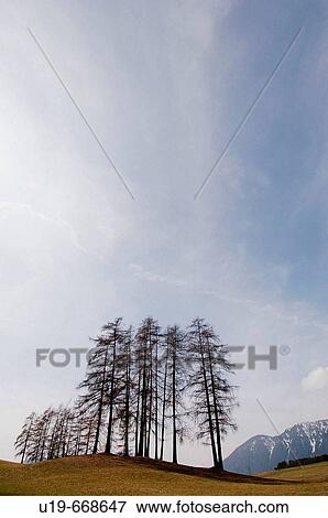 Stock Photo - Abstract landscape in the Tyrol, Austria. Fotosearch