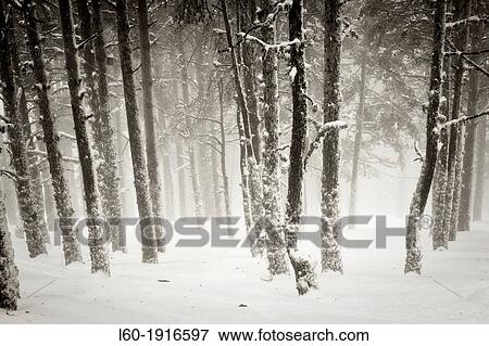 Stock Photo - Abstract Landscape. Fotosearch
