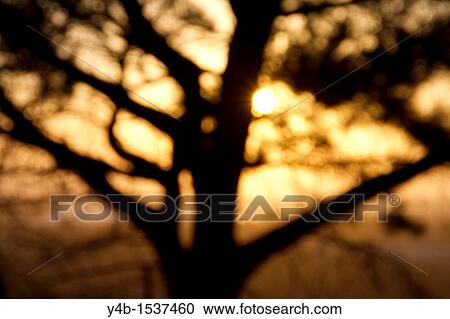 Abstract Sunset View Large Photo Image Stock Image - Abstract Sunset. Fotosearch