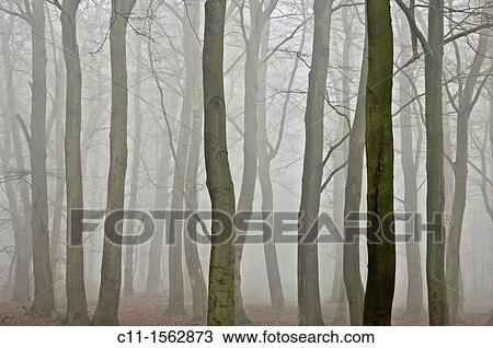 abstract tree concept View Large Photo Image Stock Image - abstract tree concept. Fotosearch