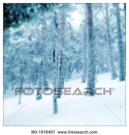 Abstracts Trees View Large Photo Image Stock Photo - Abstracts Trees. Fotosearch