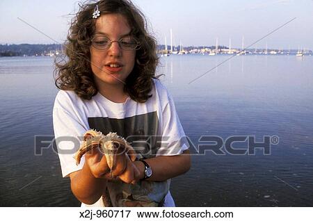 Acadia National Park, Maine - Mariel West, 13, holds a starfish she found while searching the beach at low tide in Acadia National Park MR View Large Photo Image Stock Photo - Acadia National Park, Maine - Mariel West, 13, holds a starfish she found while searching the beach at low tide in Acadia National Park MR. Fotosearch