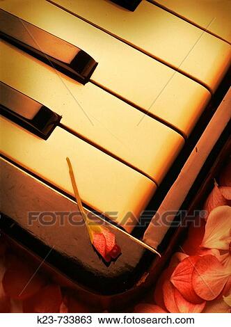 Accordion View Large Photo Image Stock Image - Accordion. Fotosearch