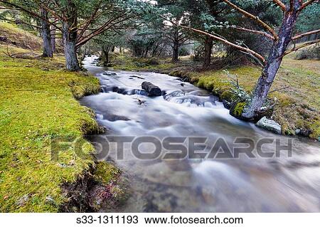Acebedas river in the Sierra de Guadarrama, Segovia province, Castile-Leon, Spain. View Large Photo Image Stock Image - Acebedas river in the Sierra de Guadarrama, Segovia province, Castile-Leon, Spain.. Fotosearch