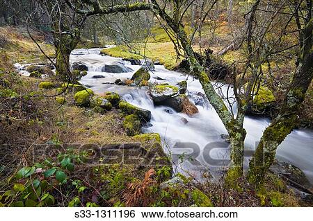 Acebedas river in the Sierra de Guadarrama Segovia Castilla Le? n Spain View Large Photo Image Stock Photograph - Acebedas river in the Sierra de Guadarrama Segovia Castilla Le? n Spain. Fotosearch