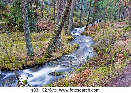 Acebedas river in the Sierra de Guadarrama Segovia Castilla Le? n Spain View Large Photo Image Stock Photography - Acebedas river in the Sierra de Guadarrama Segovia Castilla Le? n Spain. Fotosearch