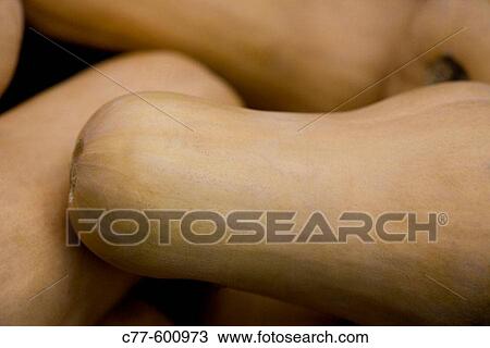 Acorn squash, harvest series. View Large Photo Image Stock Image - Acorn squash, harvest series.. Fotosearch
