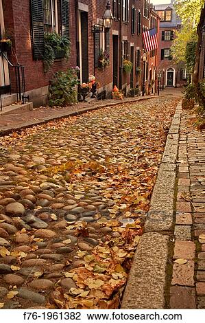 Acorn street is located on Beacon Hill is one of the most famous streets in Boston, MA. It dates back to the 1820s and is an historical, narrow and paved with little stones and is a favourite tourist attraction. View Large Photo Image Stock Image - Acorn street is located on Beacon Hill is one of the most famous streets in Boston, MA. It dates back to the 1820s and is an historical, narrow and paved with little stones and is a favourite tourist attraction.. Fotosearch