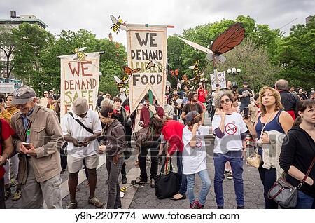 Picture - Activists gather in Union Square in New York as part of a worldwide protest against the Monsanto company and genetically modified food.. Fotosearch