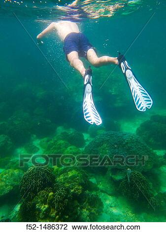 Stock Image - Adang Archipelago Tarutao Marine National Park Satun province, Andaman Sea, Thailand, Asia.. Fotosearch