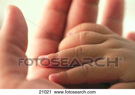 Stock Image - Adult hand holding infant's hand. Fotosearch