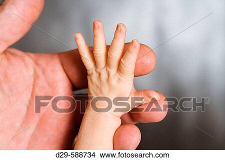 Adult holding baby's hands View Large Photo Image Picture - Adult holding baby's hands. Fotosearch
