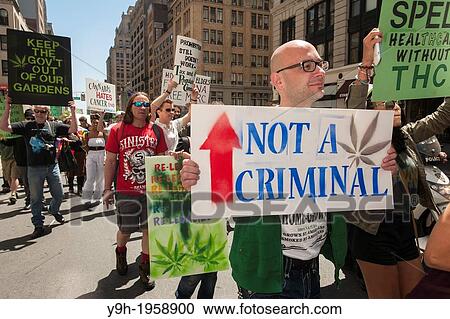 Advocates for the legalization of marijuana march in New York at the annual March For Marijuana. View Large Photo Image Stock Image - Advocates for the legalization of marijuana march in New York at the annual March For Marijuana.. Fotosearch