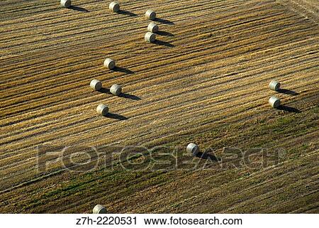 Stock Image - Aerial farmland view. Majorca, Balearic Islands, Spain.. Fotosearch