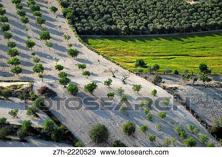 Aerial farmland view. Majorca, Balearic Islands, Spain. View Large Photo Image Stock Photo - Aerial farmland view. Majorca, Balearic Islands, Spain.. Fotosearch