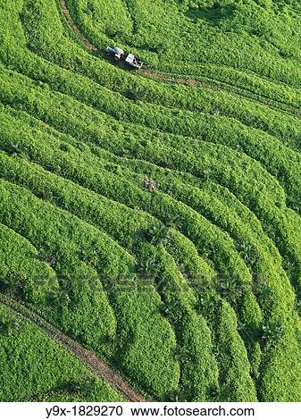 Aerial images of cityscape, landscape, and agriculture in Johor, Malaysia View Large Photo Image Stock Image - Aerial images of cityscape, landscape, and agriculture in Johor, Malaysia. Fotosearch