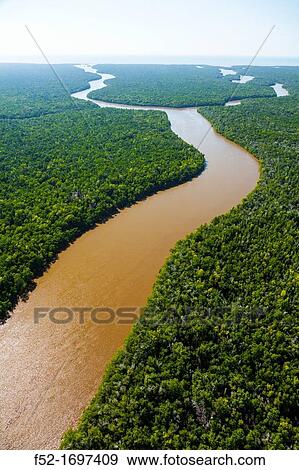 Aerial view, Everglades National Park, Florida, USA. View Large Photo Image Stock Photo - Aerial view, Everglades National Park, Florida, USA.. Fotosearch