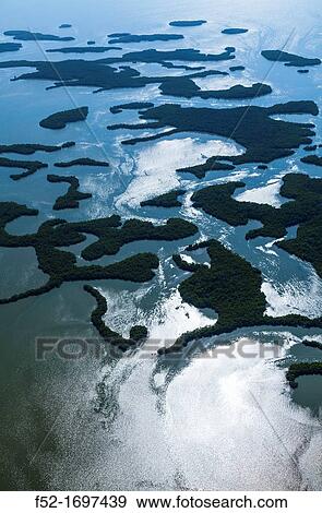 Aerial view, Everglades National Park, Florida, USA. View Large Photo Image Stock Photo - Aerial view, Everglades National Park, Florida, USA.. Fotosearch