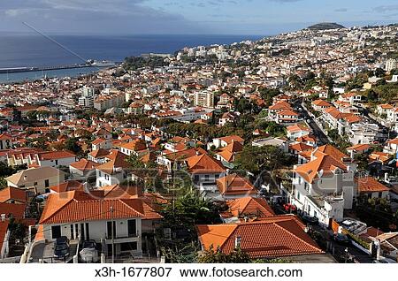 aerial view from the aerial tramway, Funchal, Madeira island, Atlantic Ocean, Portugal View Large Photo Image Stock Photo - aerial view from the aerial tramway, Funchal, Madeira island, Atlantic Ocean, Portugal. Fotosearch
