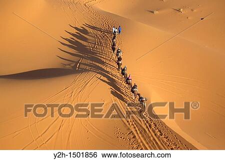aerial view of camel train on sand dunes erg chebbi, morocco View Large Photo Image Stock Photograph - aerial view of camel train on sand dunes erg chebbi, morocco. Fotosearch